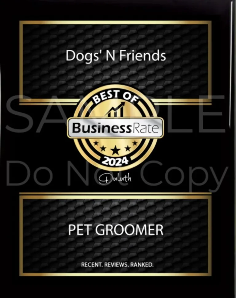 best-pet-groomer